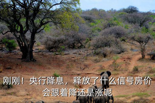 銀行降息說(shuō)明什么,銀行降息是什么意思