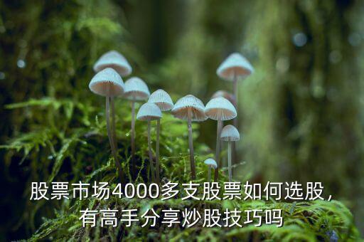高手怎么買(mǎi)賣(mài)股票技巧,散戶怎樣才能成為炒股高手