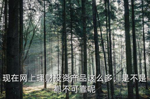 現(xiàn)在網(wǎng)上理財(cái)投資產(chǎn)品這么多，是不是都不可靠呢