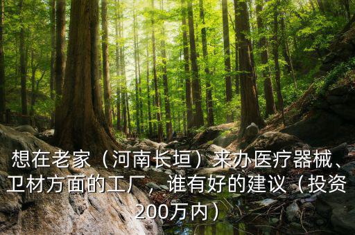 想在老家（河南長垣）來辦醫(yī)療器械、衛(wèi)材方面的工廠，誰有好的建議（投資200萬內(nèi)）