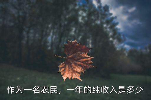 作為一名農(nóng)民，一年的純收入是多少