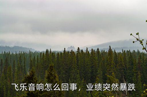 飛樂音響怎么回事，業(yè)績突然暴跌