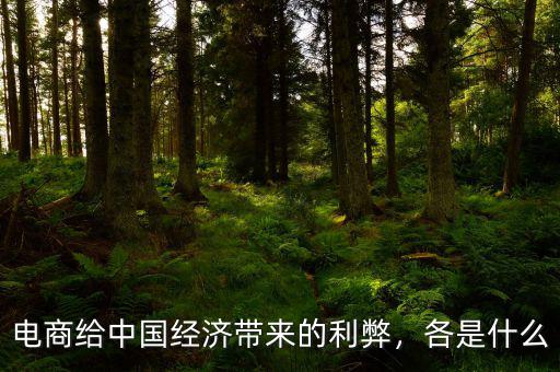 電商給中國經(jīng)濟(jì)帶來的利弊，各是什么