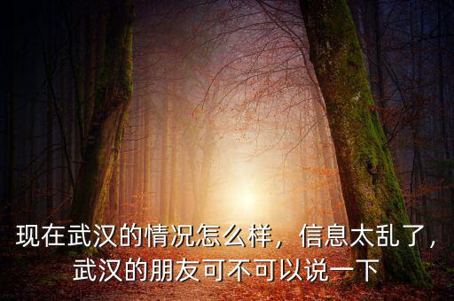 現(xiàn)在武漢的情況怎么樣，信息太亂了，武漢的朋友可不可以說一下