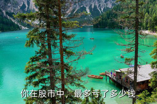 你在股市中，最多虧了多少錢