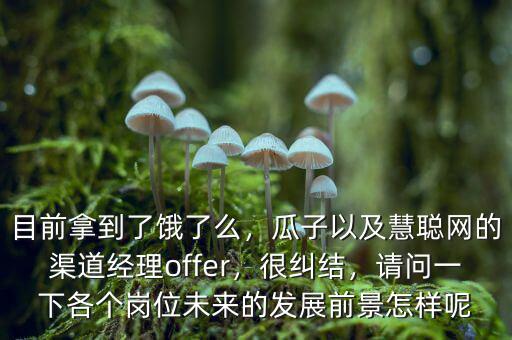 目前拿到了餓了么，瓜子以及慧聰網(wǎng)的渠道經(jīng)理offer，很糾結(jié)，請(qǐng)問(wèn)一下各個(gè)崗位未來(lái)的發(fā)展前景怎樣呢