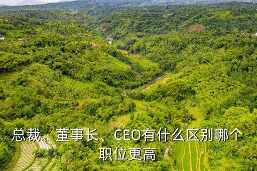 總裁、董事長、CEO有什么區(qū)別哪個職位更高