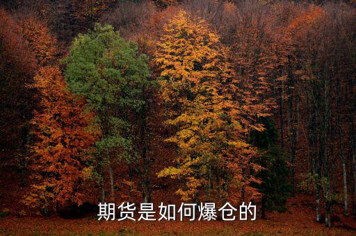 期貨風(fēng)險(xiǎn)度多少強(qiáng)平,多少會(huì)強(qiáng)平呢
