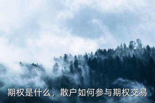 期權(quán)是什么，散戶如何參與期權(quán)交易