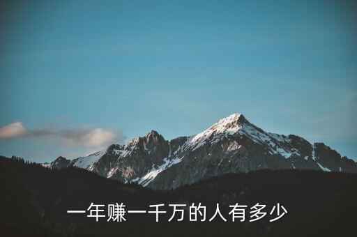 一年賺一千萬(wàn)的人有多少