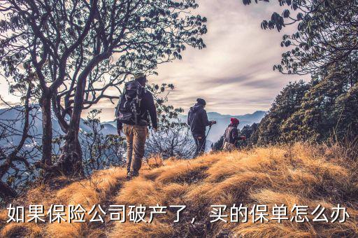如果保險公司破產(chǎn)了，買的保單怎么辦