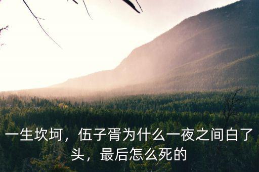 一生坎坷，伍子胥為什么一夜之間白了頭，最后怎么死的