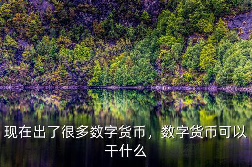 現(xiàn)在出了很多數(shù)字貨幣，數(shù)字貨幣可以干什么