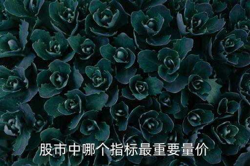 股市中哪個指標最重要量價