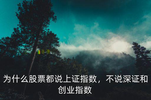 為什么股票都說(shuō)上證指數(shù)，不說(shuō)深證和創(chuàng)業(yè)指數(shù)