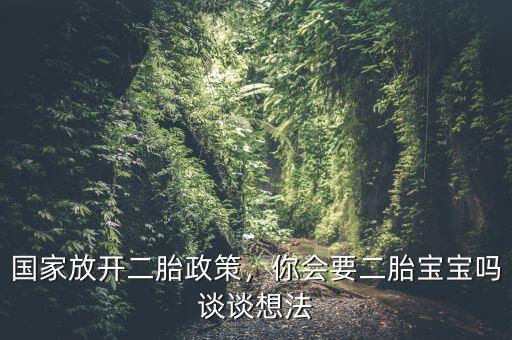 國(guó)家放開(kāi)二胎政策，你會(huì)要二胎寶寶嗎談?wù)勏敕? class=