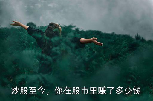 炒股至今，你在股市里賺了多少錢