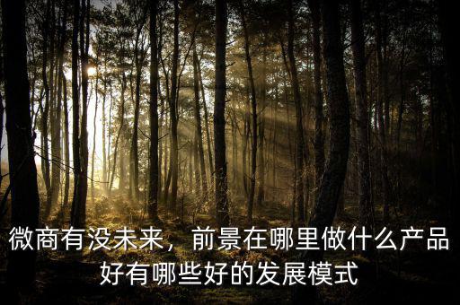 微商有沒未來，前景在哪里做什么產(chǎn)品好有哪些好的發(fā)展模式
