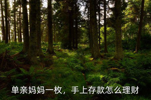 單親媽媽一枚，手上存款怎么理財(cái)