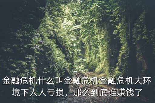 金融危機什么叫金融危機金融危機大環(huán)境下人人虧損，那么到底誰賺錢了