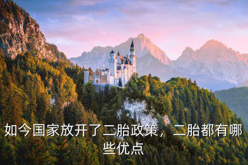 如今國家放開了二胎政策，二胎都有哪些優(yōu)點(diǎn)