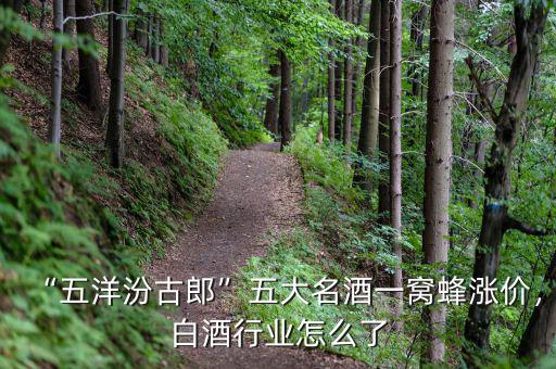 “五洋汾古郎”五大名酒一窩蜂漲價(jià)，白酒行業(yè)怎么了