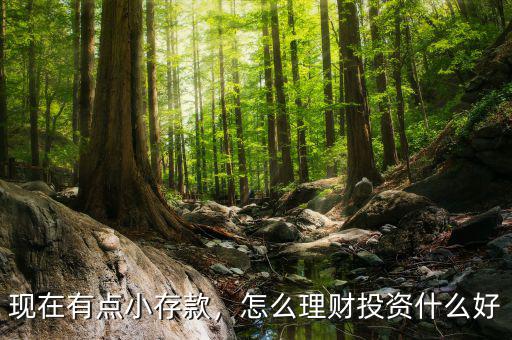 現(xiàn)在有點小存款，怎么理財投資什么好