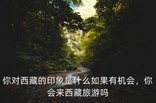 西藏有什么創(chuàng)業(yè)機(jī)遇,創(chuàng)業(yè)有什么好的項目