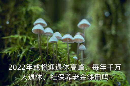 2022年或將迎退休高峰，每年千萬人退休，社保養(yǎng)老金夠用嗎