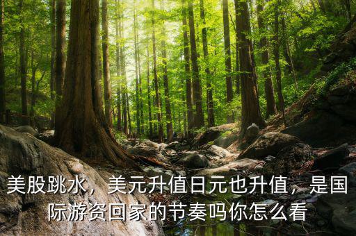 美股跳水，美元升值日元也升值，是國(guó)際游資回家的節(jié)奏嗎你怎么看