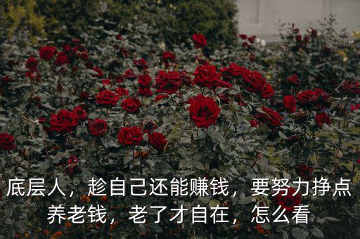底層人，趁自己還能賺錢，要努力掙點養(yǎng)老錢，老了才自在，怎么看