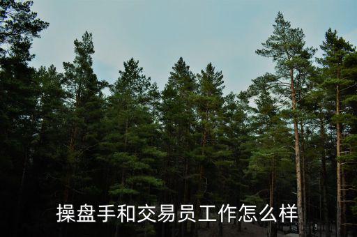 操盤(pán)手和交易員工作怎么樣