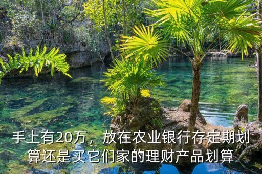 手上有20萬，放在農(nóng)業(yè)銀行存定期劃算還是買它們家的理財產(chǎn)品劃算