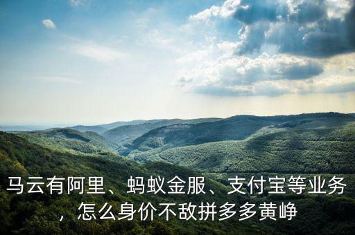 馬云有阿里、螞蟻金服、支付寶等業(yè)務(wù)，怎么身價不敵拼多多黃崢