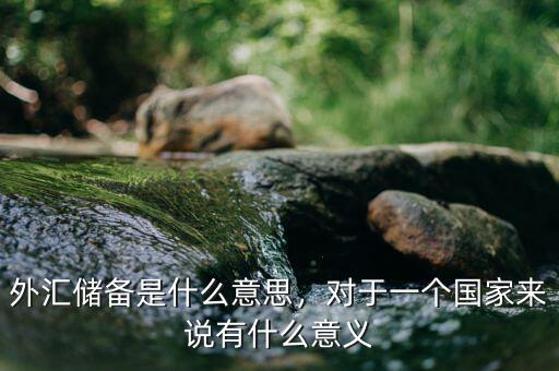 外匯儲備是什么意思，對于一個國家來說有什么意義