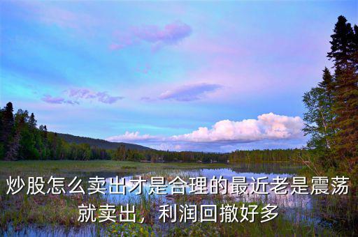 炒股怎么賣出才是合理的最近老是震蕩就賣出，利潤回撤好多