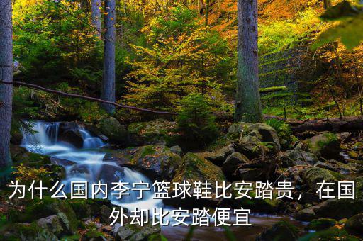 為什么國(guó)內(nèi)李寧籃球鞋比安踏貴，在國(guó)外卻比安踏便宜