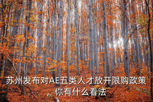蘇州發(fā)布對AE五類人才放開限購政策，你有什么看法