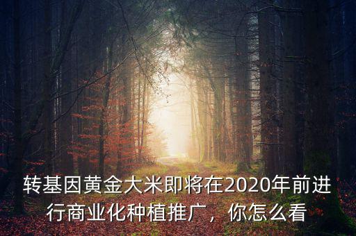 轉(zhuǎn)基因黃金大米即將在2020年前進(jìn)行商業(yè)化種植推廣，你怎么看