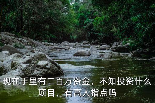現(xiàn)在手里有二百萬資金，不知投資什么項(xiàng)目，有高人指點(diǎn)嗎