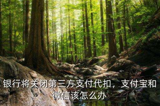 銀行將關閉第三方支付代扣，支付寶和微信該怎么辦