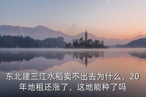 東北建三江水稻賣不出去為什么，20年地租還漲了，這地能種了嗎