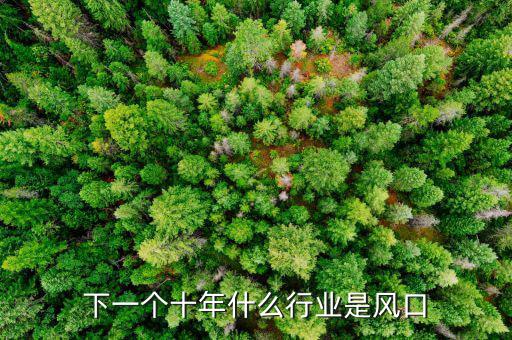 下一個十年什么行業(yè)是風口