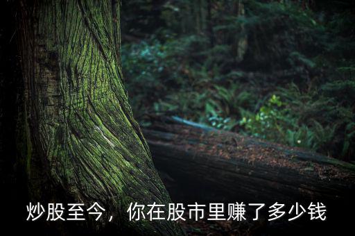 炒股至今，你在股市里賺了多少錢