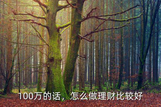 100萬的話，怎么做理財(cái)比較好