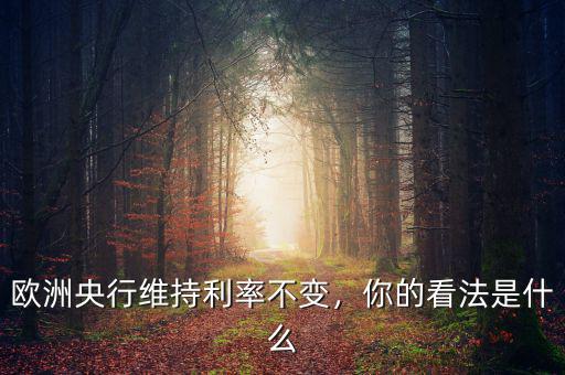 歐洲央行維持利率不變，你的看法是什么
