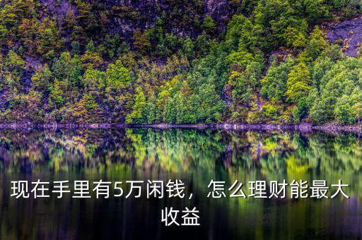 現(xiàn)在手里有5萬閑錢，怎么理財(cái)能最大收益