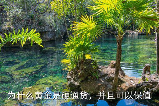 為什么黃金是硬通貨，并且可以保值