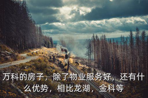 萬科有什么優(yōu)勢(shì),還有什么優(yōu)勢(shì)