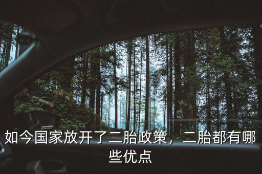 為什么放開(kāi)二胎政策,如今國(guó)家放開(kāi)了二胎政策